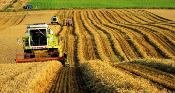 2025-2027 YILLARI BİTKİSEL ÜRETİM DESTEKLEME BİRİM FİYATLARI