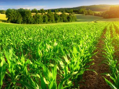 Yeni Model Mazot ve Gübre Desteklemesi Havzalar ve Destekler